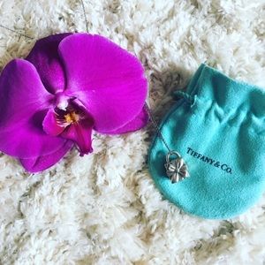 Authentic Tiffany’s Present Necklace